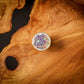 Memory Globes Club - Mermaid scales